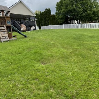 570 Lawn care - Before lawn care - Junk Removal & Hauling Near Me 570 Lawn care - Before lawn care - Junk Removal & Hauling Near Me