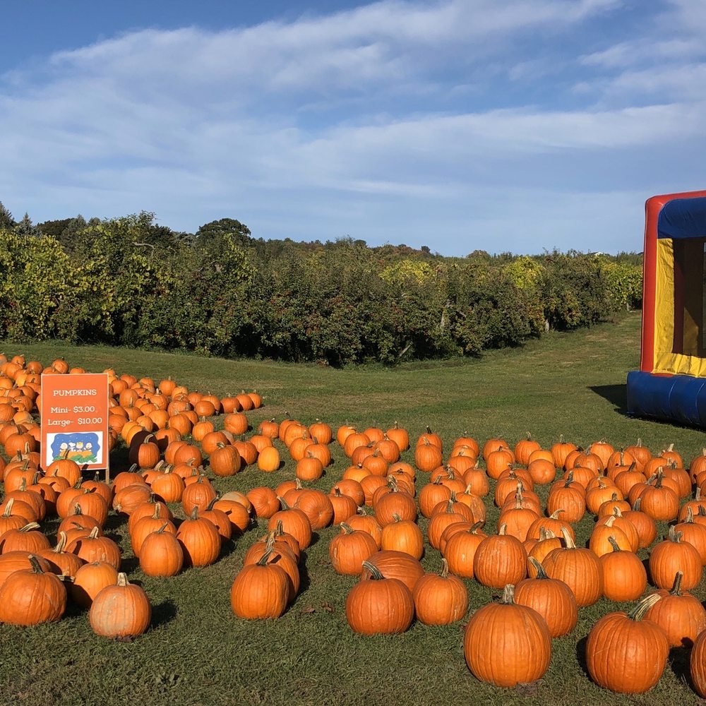 Pumpkin patch. Bounce house. Pumpkin patch. Bounce house.