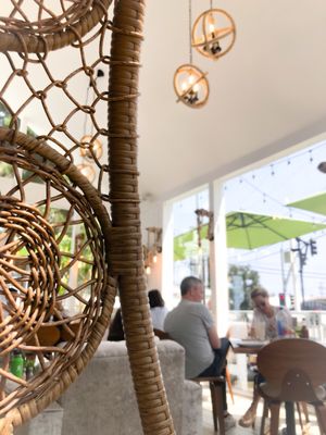 Juicy Ladies by null