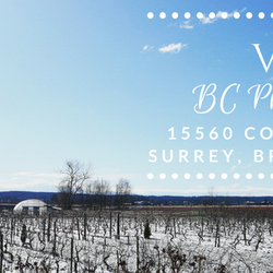 Vinoscenti Vineyards - Winery in winter.