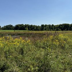 South Russell Village Park - Prairie