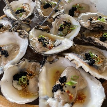 KA Sushi - Oysters - Japanese Near Me - Houston, Texas KA Sushi - Oysters - Japanese Near Me - Houston, Texas