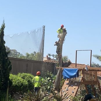 Select Tree Service - Tree Services Near Me Select Tree Service - Tree Services Near Me