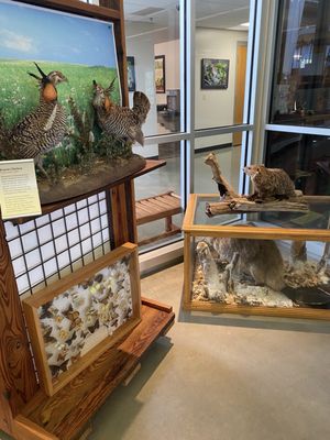 Anita B. Gorman Conservation Discovery Center by null
