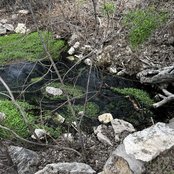 Montezuma Well - Landmarks & Historical Buildings Near Me - Rimrock, Arizona