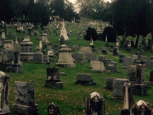 Thornrose Cemetery by null