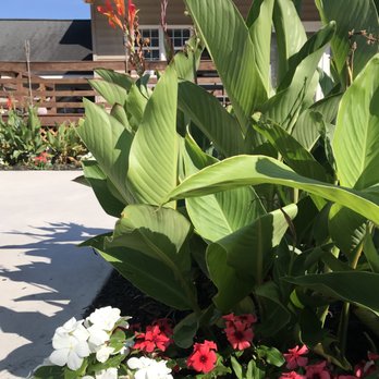 Gold Leaf Landscape - undefined - Landscaping Near Me Gold Leaf Landscape - undefined - Landscaping Near Me