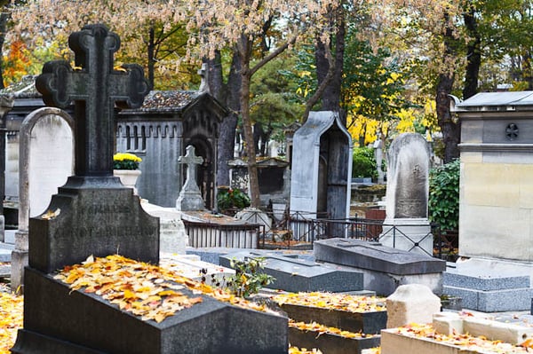 Cimetière de Montmartre by null