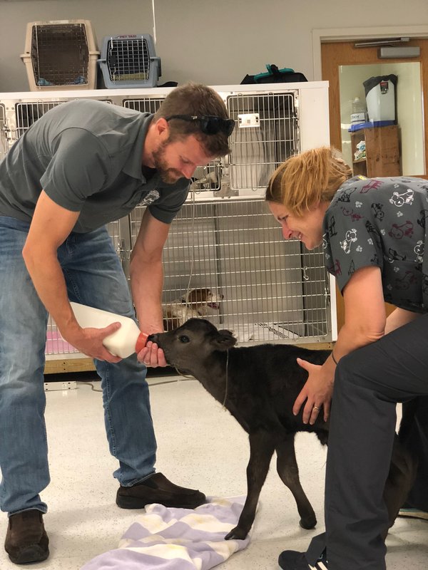 WALPOLE VETERINARY HOSPITAL Updated October 2024 6 Walker Rd Rt 12