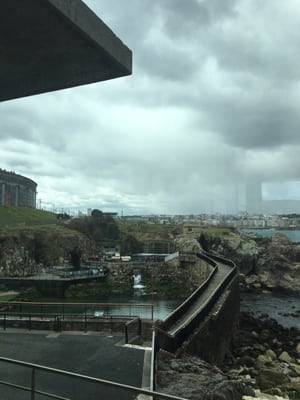 Aquarium Finisterrae by null