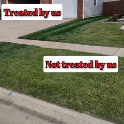 The Original Lawn Guys