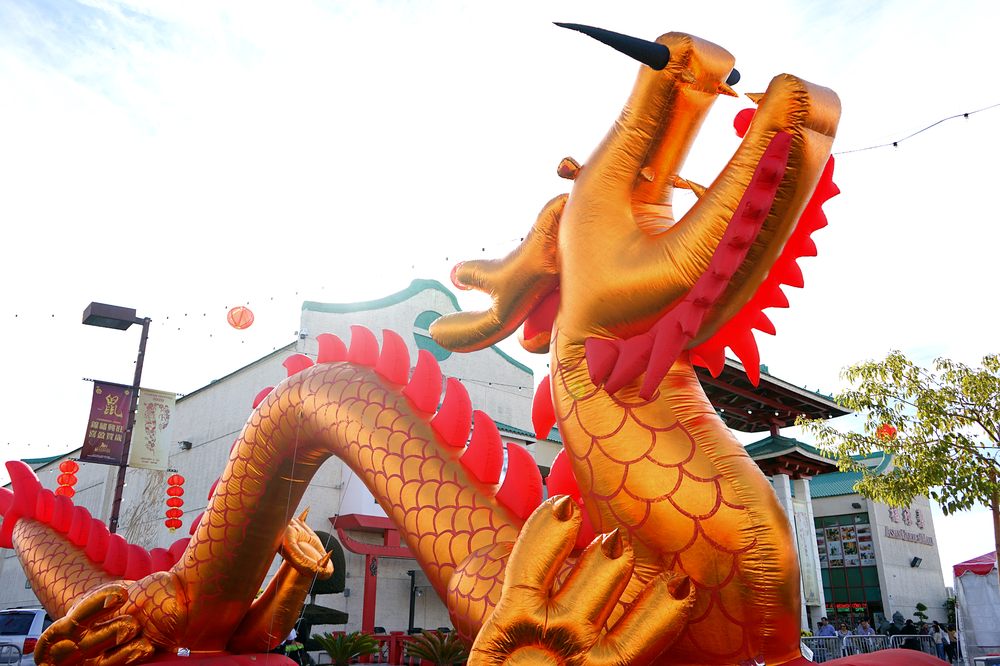 ASIAN GARDEN FLOWER FESTIVAL 218 Photos & 11 Reviews Festivals