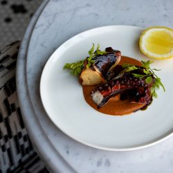 Five of Clubs - Octopus with pumpkin seed mole and cilantro