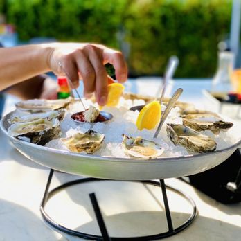 The Choptank - A different perspective ya know - Seafood Near Me - Baltimore, Maryland The Choptank - A different perspective ya know - Seafood Near Me - Baltimore, Maryland