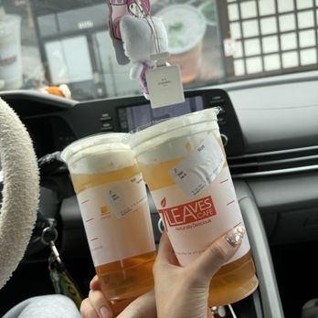 7 Leaves Cafe - Sea Cream Jasmine Tea - Coffee & Tea Near Me - Torrance, California 7 Leaves Cafe - Sea Cream Jasmine Tea - Coffee & Tea Near Me - Torrance, California