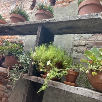 Provisions - Plant wall - American Near Me - Oroville, California