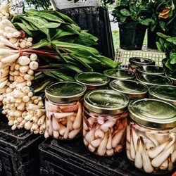 Ottawa Farmers' Market Orleans