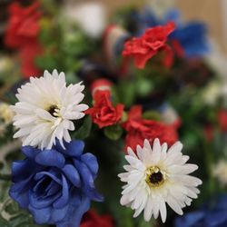 The Enchanted Florist And More