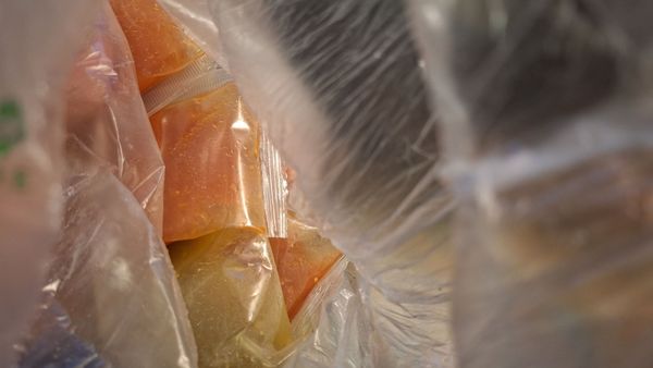 The Original Tamale Co. by null