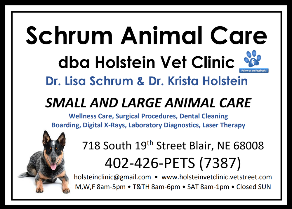 HOLSTEIN VETERINARY CLINIC Updated August 2024 718 S 19th St, Blair
