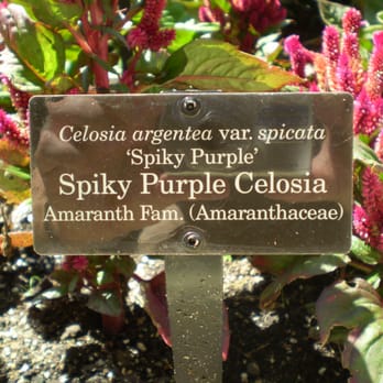 Chicago Botanic Garden - Botanical Gardens Near Me - Glencoe, Illinois