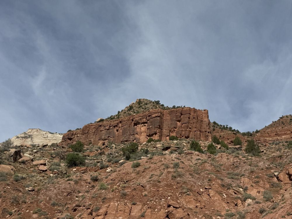 Zion National Park Logo