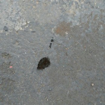 Ted Wiens - New oil spill! this was how it was when I brought it in last month. Its now a small new leak? - Tires Near Me - Las Vegas, Nevada Ted Wiens - New oil spill! this was how it was when I brought it in last month. Its now a small new leak? - Tires Near Me - Las Vegas, Nevada