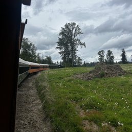 The train The train