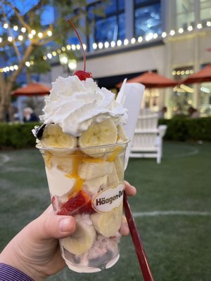 Häagen-Dazs Ice Cream Shops by null