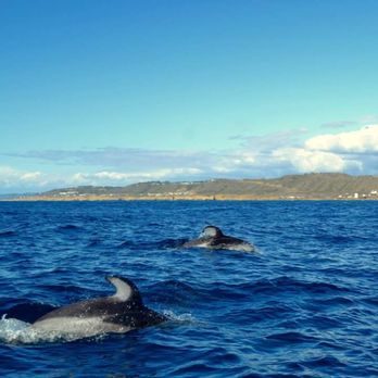 Offshore Blue Adventures - Beautiful - Boating Near Me - San Diego, California