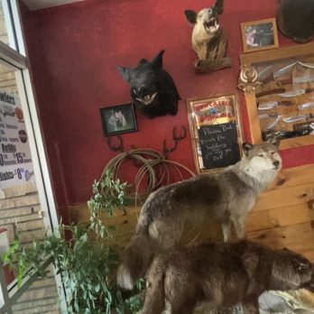Pokey's BBQ & Smokehouse - Taxidermy fun right inside the front door - Barbeque Near Me - Gillette, Wyoming Pokey's BBQ & Smokehouse - Taxidermy fun right inside the front door - Barbeque Near Me - Gillette, Wyoming