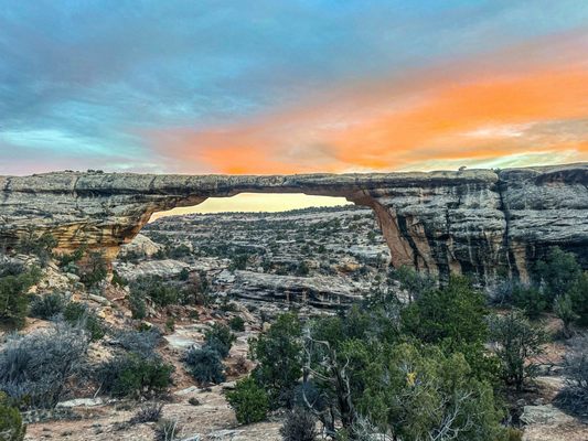 Natural Bridges National Monument by null