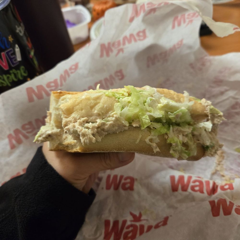 Tuna in a white sub with lettuce and less Mayonnaise Tuna in a white sub with lettuce and less Mayonnaise