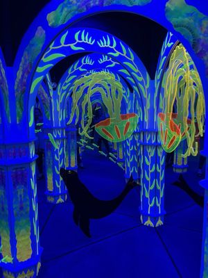 Magowan's Infinite Mirror Maze by null