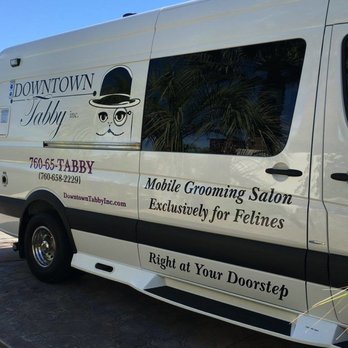 Downtown Tabby - Pet Groomers Near Me - Kuna, Idaho Downtown Tabby - Pet Groomers Near Me - Kuna, Idaho