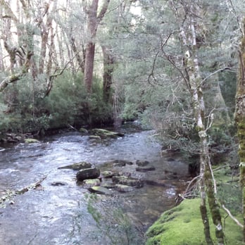 Cradle Mountain Lodge - MGallery Collection - Hotels Near Me - Cradle Mountain, TAS