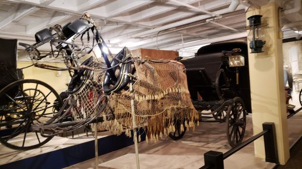 Hastings Museum by null