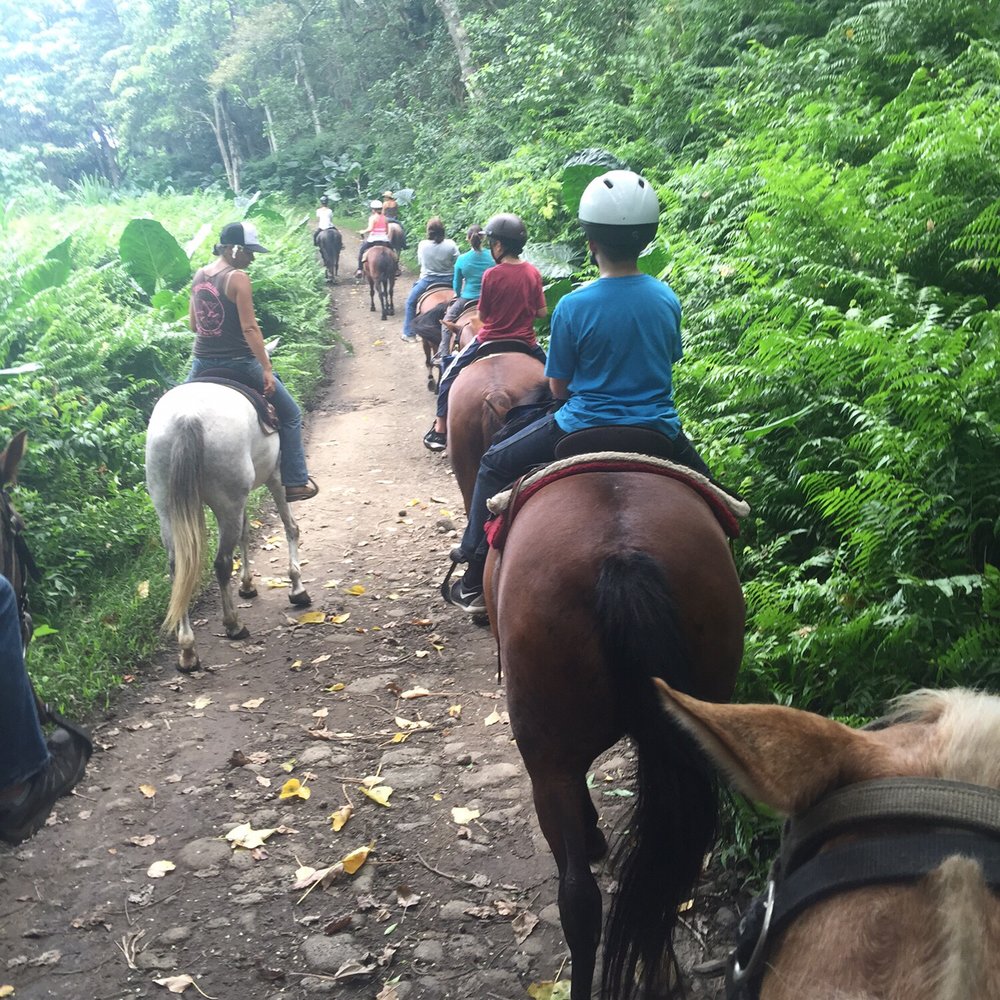 Na'alapa Stables - Our guide on the left is very kind and informative. The dog rides double back with her. Soooo cute!! - Horseback Riding Near Me - Kamuela, Hawaii Na'alapa Stables - Our guide on the left is very kind and informative. The dog rides double back with her. Soooo cute!! - Horseback Riding Near Me - Kamuela, Hawaii
