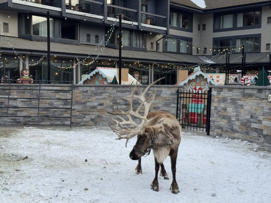 Kananaskis Mountain Lodge, Autograph Collection by null