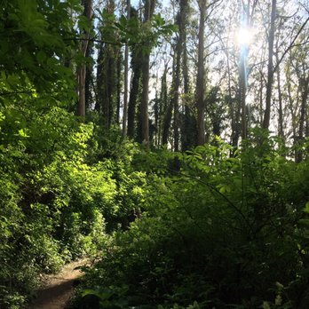 Mount Sutro - Parks Near Me - San Francisco, California