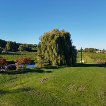 Fielding Estate Winery - Pond to the left of the winery - Wineries Near Me - Beamsville, Ontario Fielding Estate Winery - Pond to the left of the winery - Wineries Near Me - Beamsville, Ontario