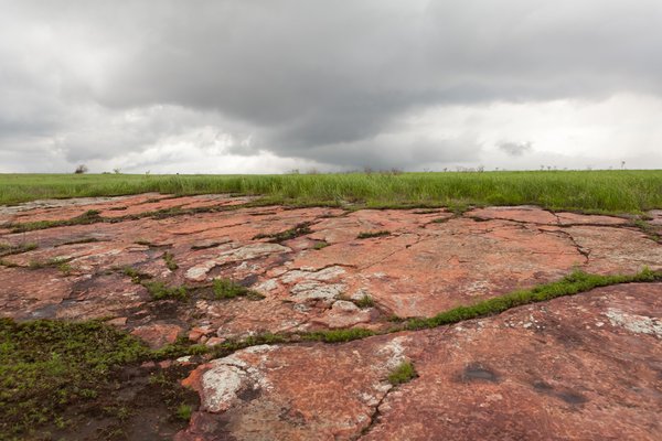 Jeffers Petroglyphs by null