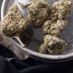The Dispensary - Does This Look Like Scam Material?