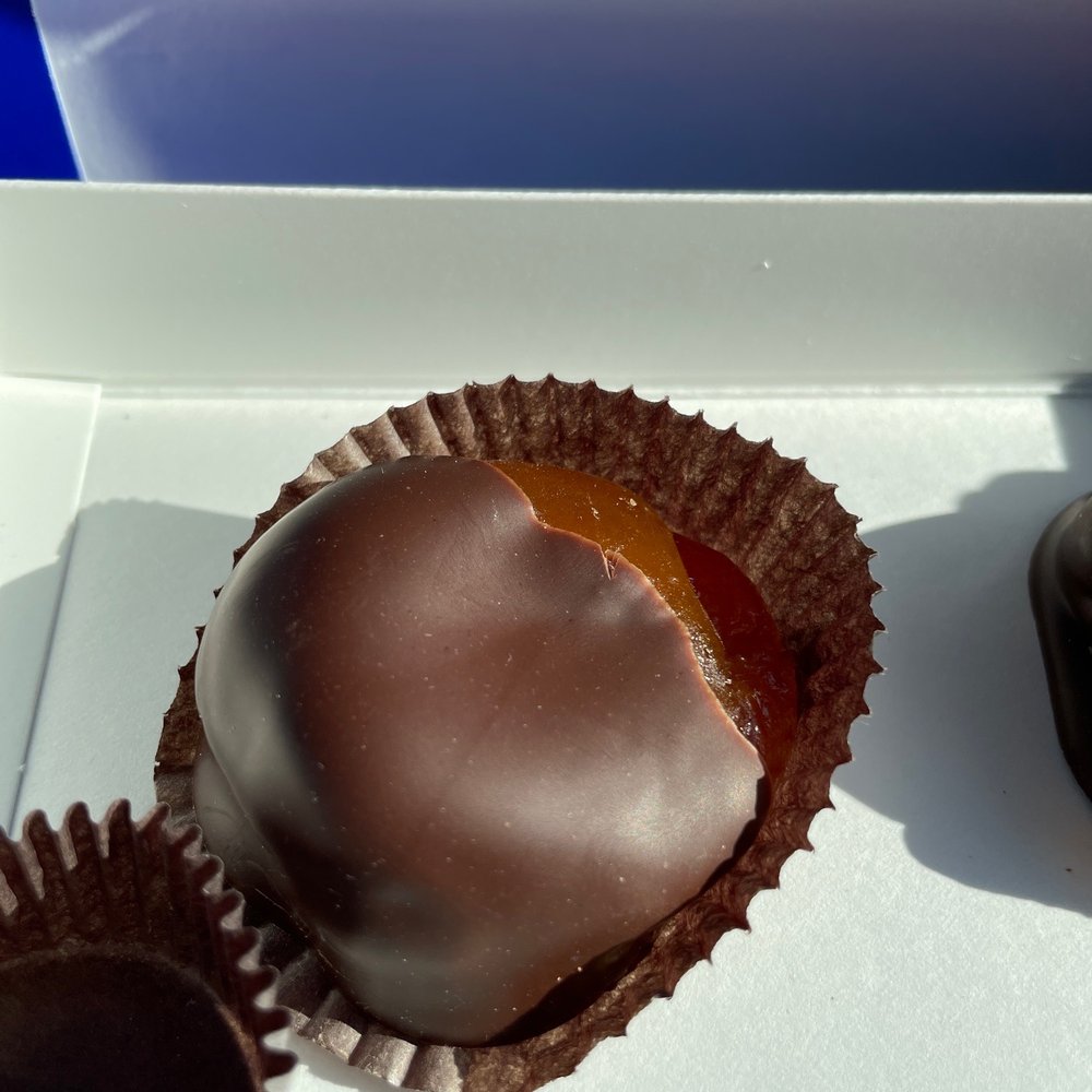 Yummy dark chocolate apricot