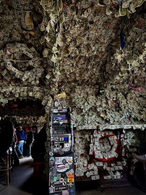 Salty Dawg Saloon by null