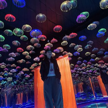 Imaginarium 360 - Festivals Near Me - Milpitas, California Imaginarium 360 - Festivals Near Me - Milpitas, California