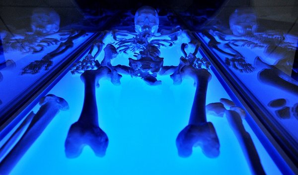 King Richard III Visitor Centre by null