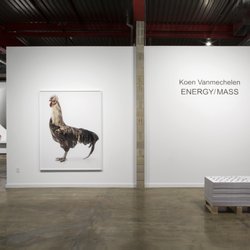 Wasserman Projects - Koen Vanmechelen: ENERGY/MASS September 22 - December 17, 2016