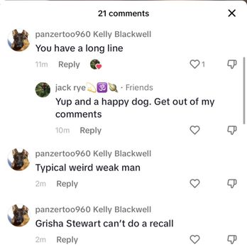 About Turn Dog Training - Here is Kelly calling me names and trashing on other professionals in the industry. - Pet Training Near Me - New Smyrna Beach, Florida