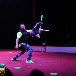 Hero Disc USA